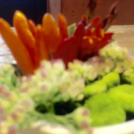 Marina Di Castello Bed & Breakfast