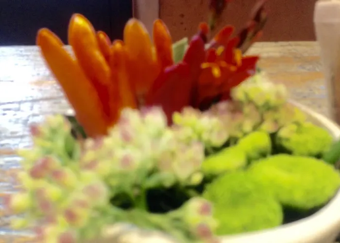 Marina Di Castello Bed & Breakfast